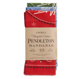 3-Pack Bandana in Cowboy Multi