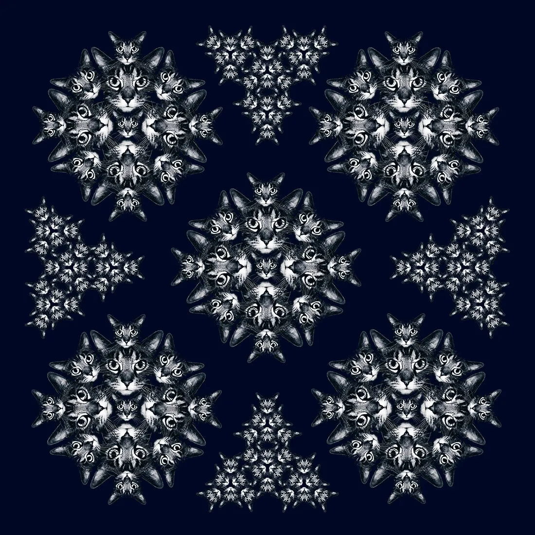 CAT MANDALA CHIFFON SCARF