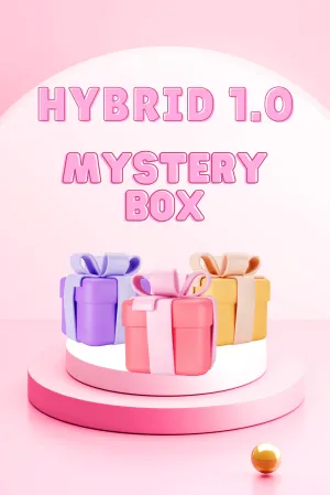 Hybrid Mystery Box - 1.0 Bottoms