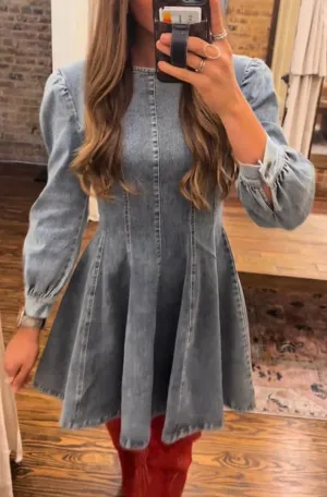 Long Sleeve Denim Mini Dress