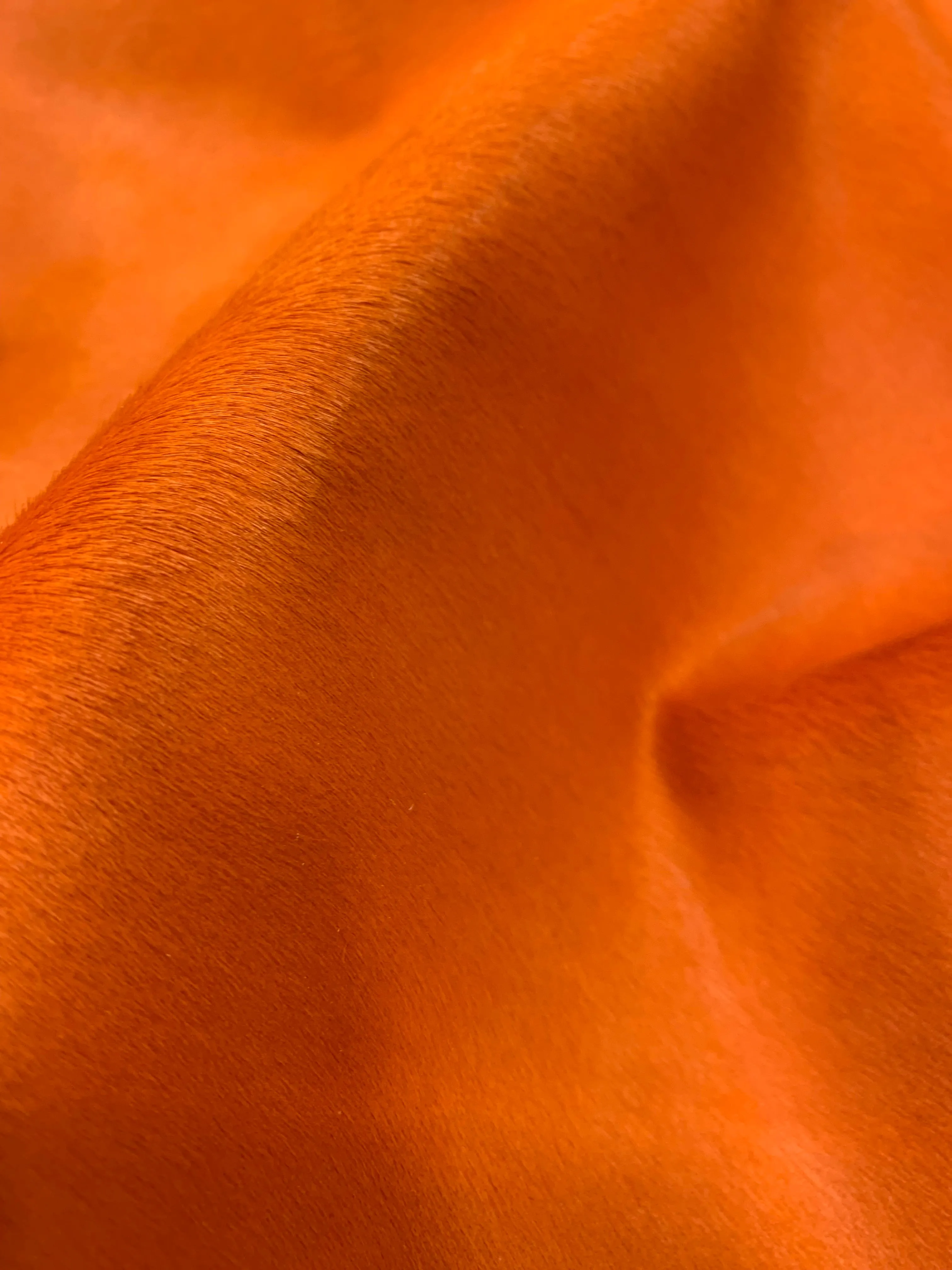 Orange Crush Ponyskin