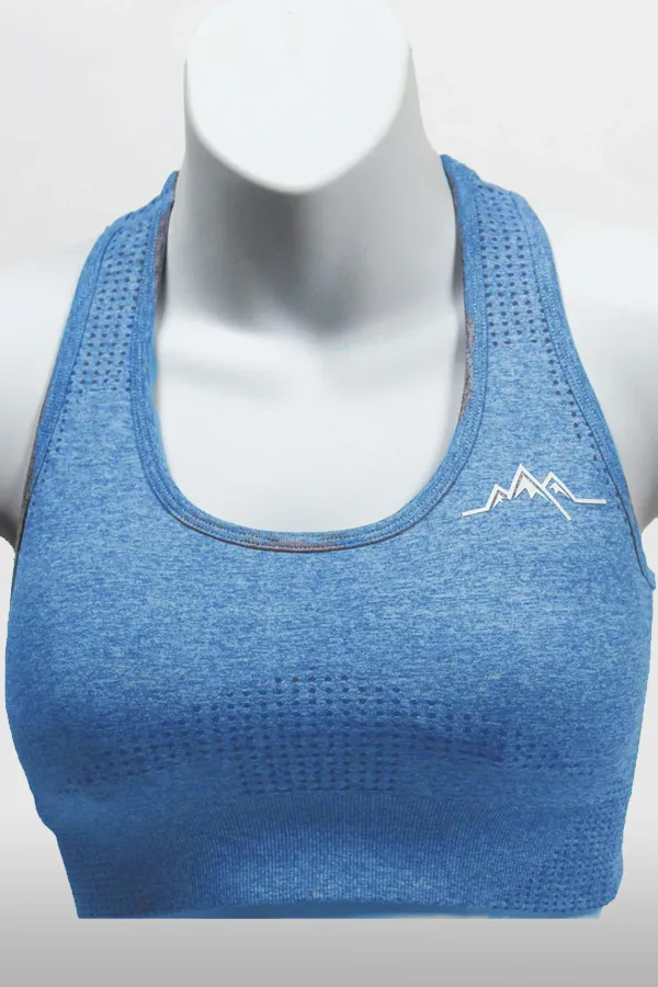 Sierra Sports Bra - Light Blue